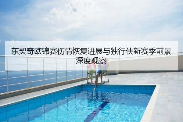东契奇欧锦赛伤情恢复进展与独行侠新赛季前景深度观察
